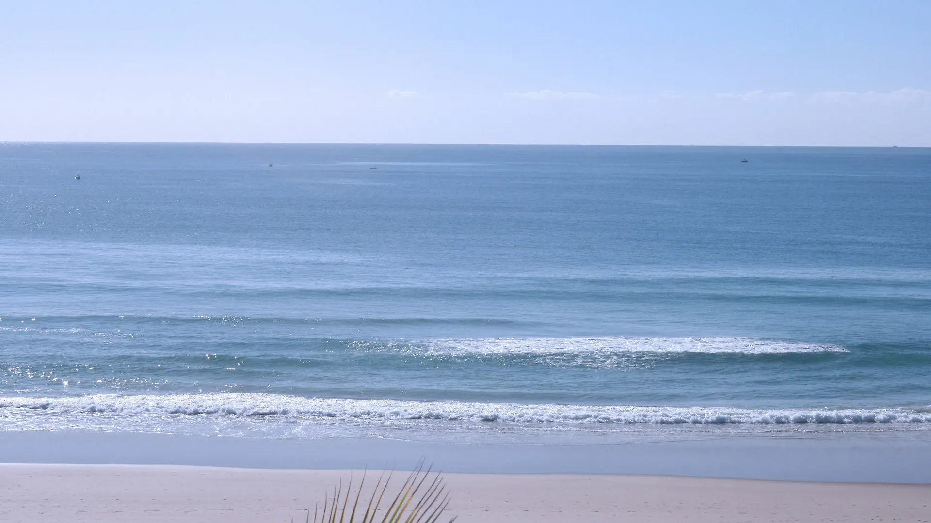 Aparthotel Surfers Horizons Gold Coast